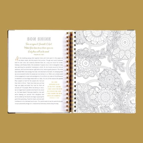 DEVOTIONAL ICOLORING BOOK "SET Your MIND on THINGS ABOVE" BEAUTIFUL ART Gift! - Picture 4 of 10